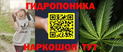 гашик Балашиха